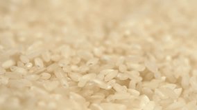 Closeup macro video of white round uncooked rice rotating. Grains falling down. Real time hd footage.