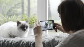 Happy woman shooting a video of her cute cat at home using her smartphone