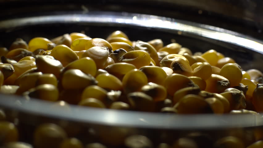 Corn grains in a bowl.
 | Shutterstock HD Video #1022712070