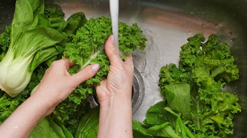 Woman washing in water in sink green kale cabbage leaves in kitchen, organic healthy food