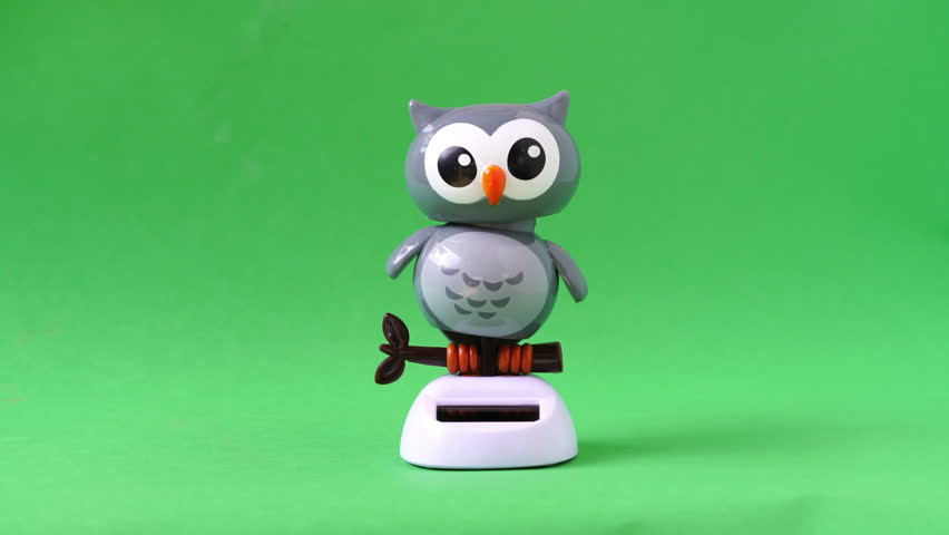 owl robot
