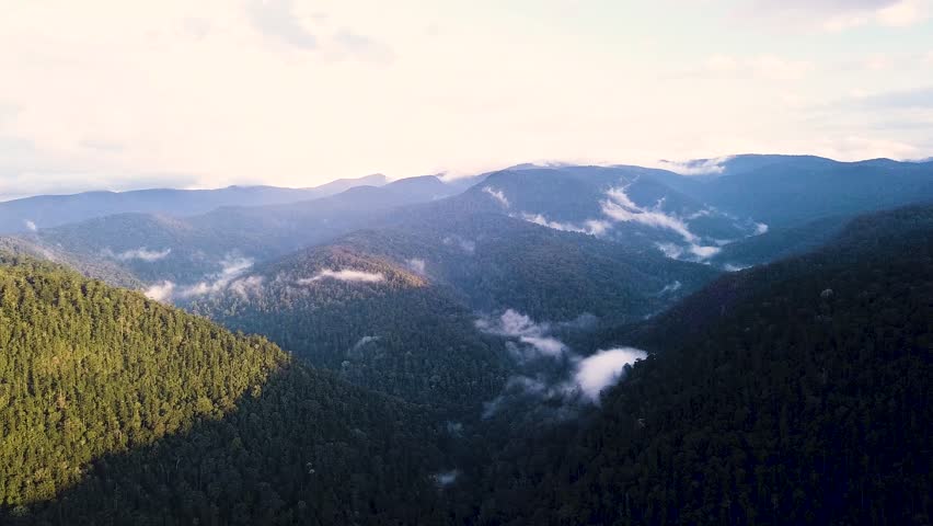 Lamington park, foggy hills hyperlapse. Australia- Queensland.