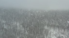 Trees on top of the Veliki Krs mountain by winter 4K aerial footage