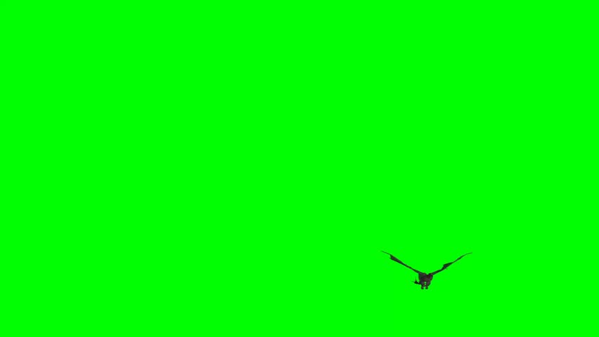 
Dragon - middle ages fantasy dragon flies on green screen  | Shutterstock HD Video #1022742844