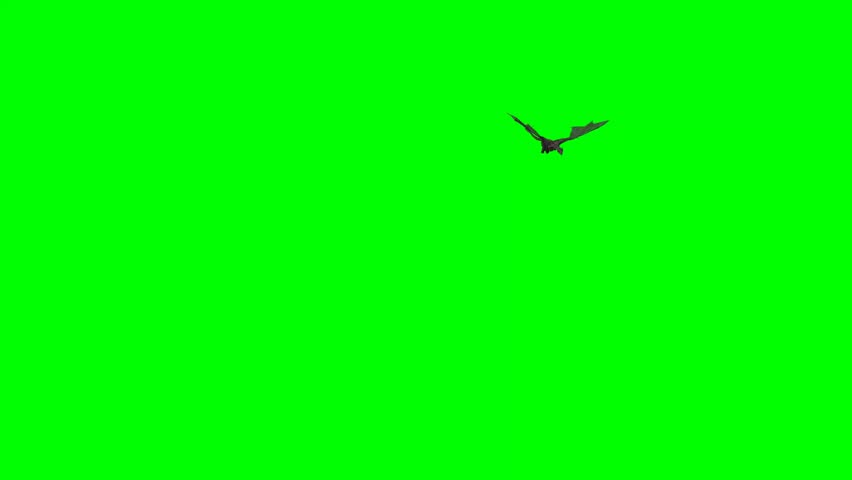 
Dragon - middle ages fantasy dragon flies on green screen  Royalty-Free Stock Footage #1022742853