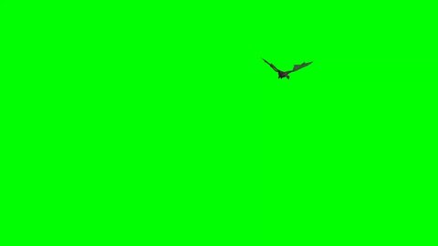 
Dragon - middle ages fantasy dragon flies on green screen 