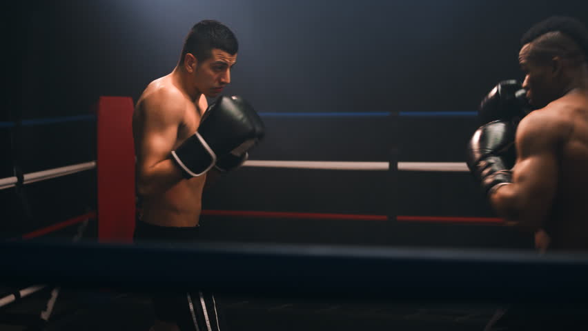 Two muscular boxers throw punches and fight each other in a boxing ring