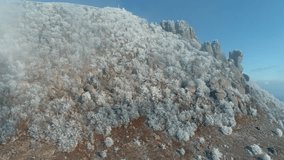 Snowy coniferous trees with huge boulders in gray clouds on a mountain top against blue sky. Shot. Beautiful landscape. - Powered by Shutterstock - Get 15% off with code: PIKWIZARD15