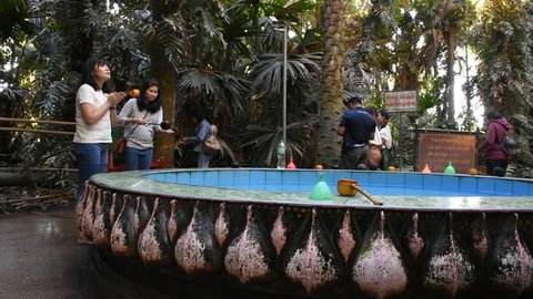UDON THANI, THAILAND - DECEMBER 19 :  Holy water pond for thai people and foreign travelers use and eat in Wat Pa Kham Chanod at Ban Kham Chanot on December 19, 2018 in Udon Thani, Thailand