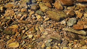 A close-up video shot of beautiful stones under a clear water that runs in a creek, background / textures. 