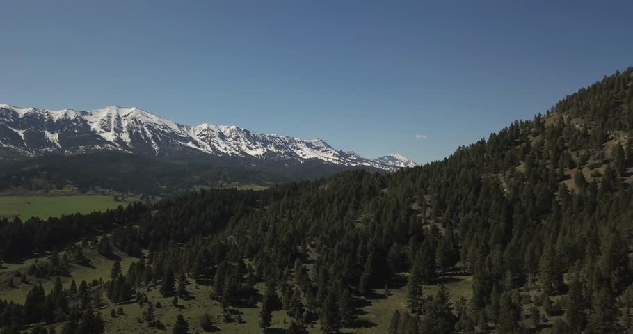 Breathtaking mountain countryside town view of Bozeman Montana filled with green spruce trees (drone shot)