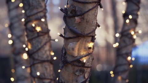 Christmas Festival LED Lights Wrapped on Trees