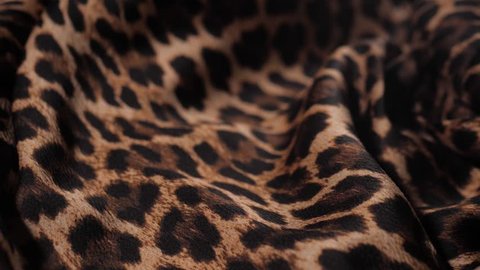 Leopard tiger Print Pattern Fabric Close up textile macro extreme