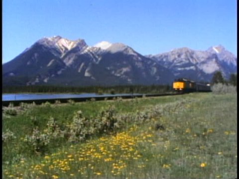 THE CANADIAN TRAIN, 1990 Pass by in Rockies, locomotive, coaches, yellow flowers