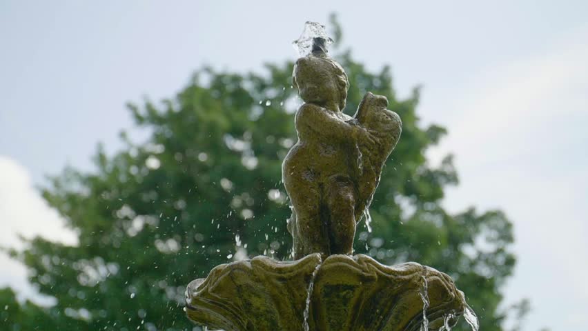 Fountain Of Youth