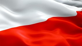 Poland waving flag. National 3d Polish flag waving. Sign of Poland seamless loop animation. Polish flag HD resolution Background. Poland flag Closeup 1080p Full HD video for presentation

