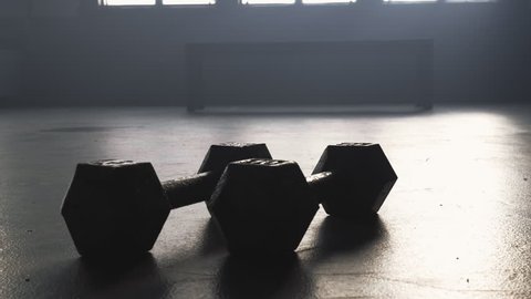 Close up portrait of two dumbbell weights lying on the floor of a gym