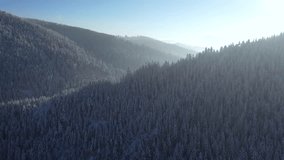 Aerial view at the winter mountains. Forest and mountains from air. Winter landscape from a drone. Snowy landscape. Aerial video
