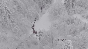 Aerial shot. Flight above mountain icy river in winter forest. 
