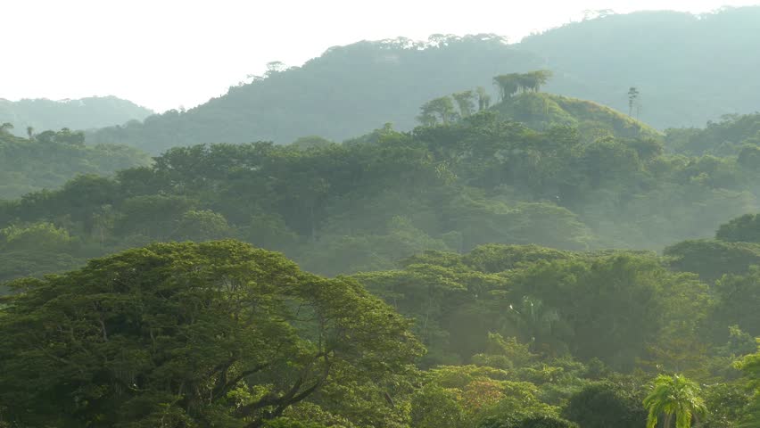 Beautiful mountainous scenery with bird flying away far in the distance | Shutterstock HD Video #1022951932