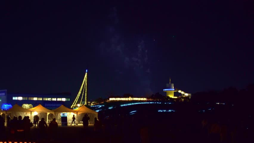 Firework show at park. Fukuoka Japan