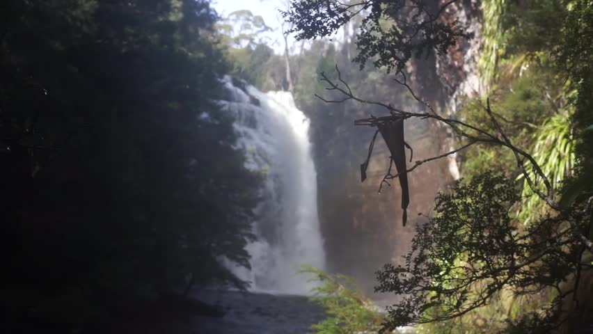 Rack focus from a branch to a roaring waterfall in the rain forest.