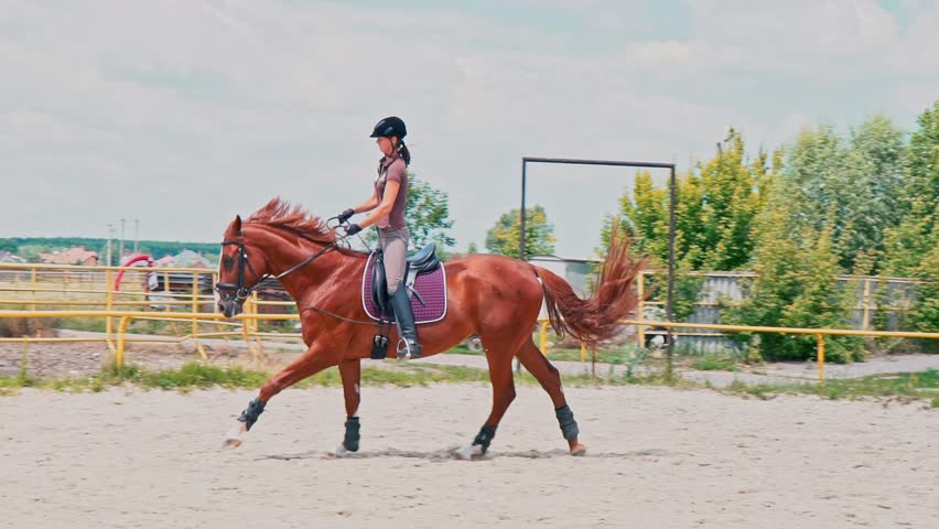 Young woman trains the horse before the competition. Horseback riding. Hippotherapy. Slow motion.
