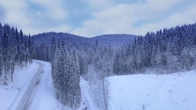Aerial flight over winter landscape and snow covered trees. Snowy tree branch in a view of the winter forest. Aerial footage, 4K