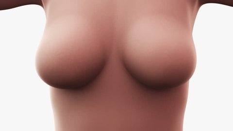 Breast Augmentation. Body Phantom Bust Boost. Expanding Breasts. Improved Size, Shape and Volume. Enhanced Bust.
