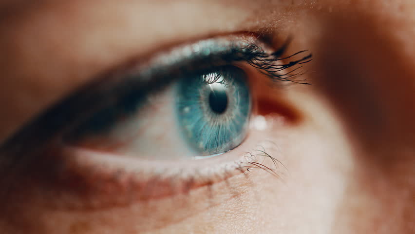 A woman with blue eyes who is wearing mascara, opens her eyes in a profile close up.  | Shutterstock HD Video #1023018958