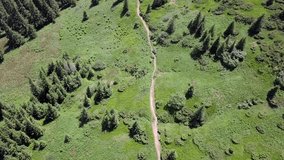 Aerial view of the footpath in the Carpathians. Ukraine
