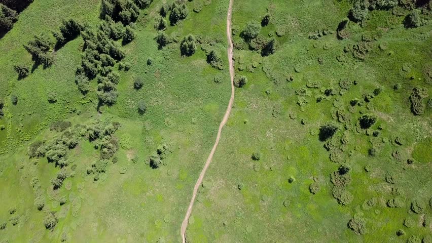 Aerial view of the footpath in the Carpathian Mountains