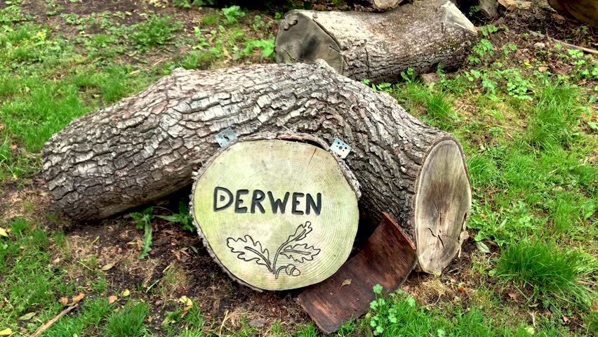 Carved Fallen Tree, Porthkerry, South Wales
