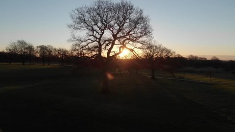 Cine D, Coventry City Of Culture War Memorial Park Drone Aerial View Sunrise Winter Tree