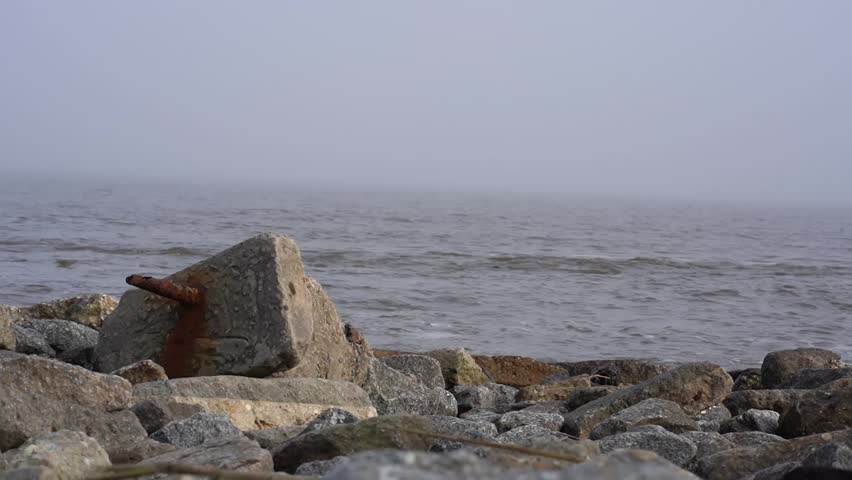 beach with rocks and fog