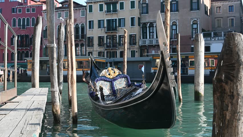 Venice, gondolas in the Grand Canal near the Rialto Bridge