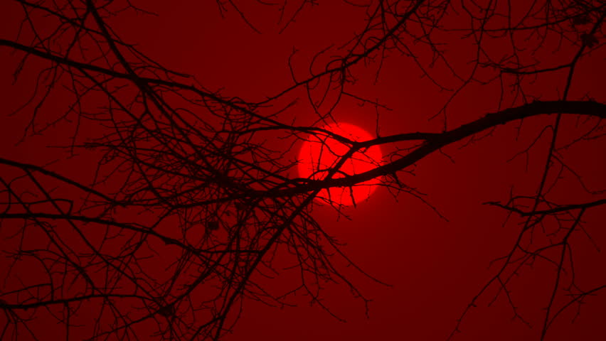 Full blood moon behind silhouette of leafless tree branches