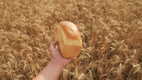 man holds a golden bread in lifestyle a wheat field. slow motion video. successful agriculturist in field of wheat . harvest time. bread baking vintage agriculture concept