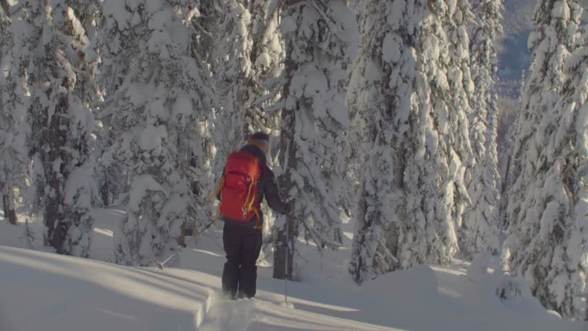 Follow shot ski tour in Siberia. A man riding down the hill in a snowy forest, rear view. Freeride POV