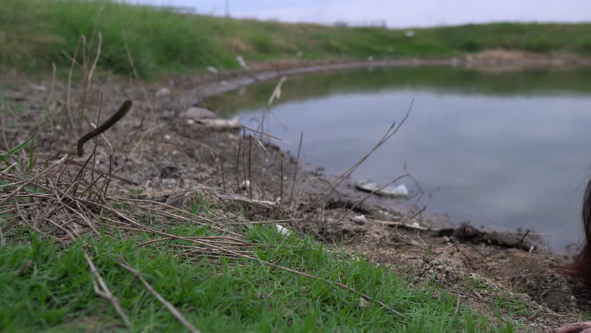 Portrait of asian woman make up ghost face at the swamp, Horror scene