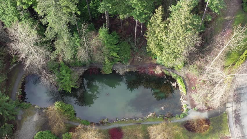 A perfect water landscape. Nice landscape with pond and rocks. Aerial drone view. 4K.