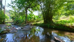 4K time lapse video of mountain stream in Chiangmai province, Thailand.