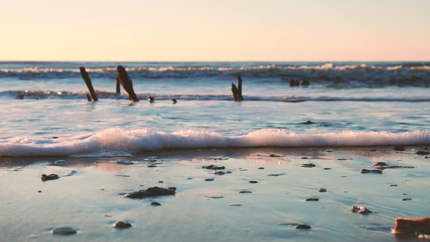 Dead trees on the Atlantic ocean beach at sunrise, Botany Bay beach, Edisto Island, SC, USA