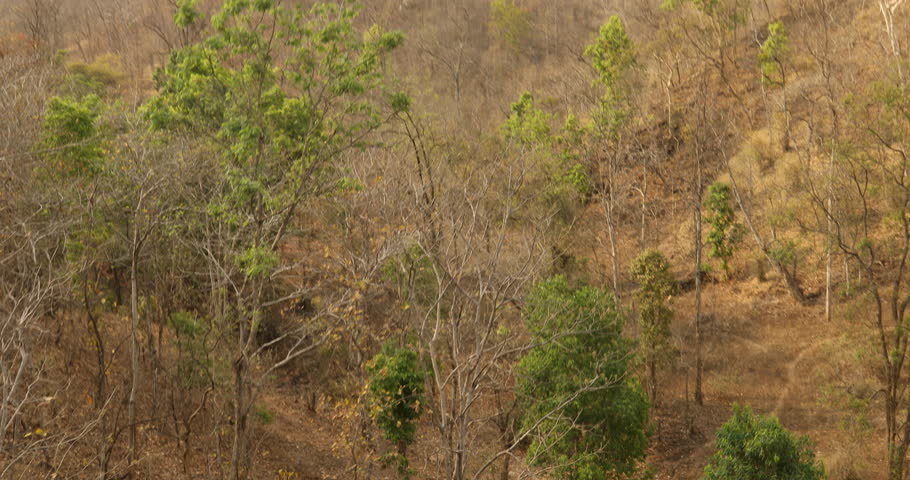 Train Journey Through rural area