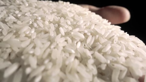 Raw Rice grain falling. slow motion