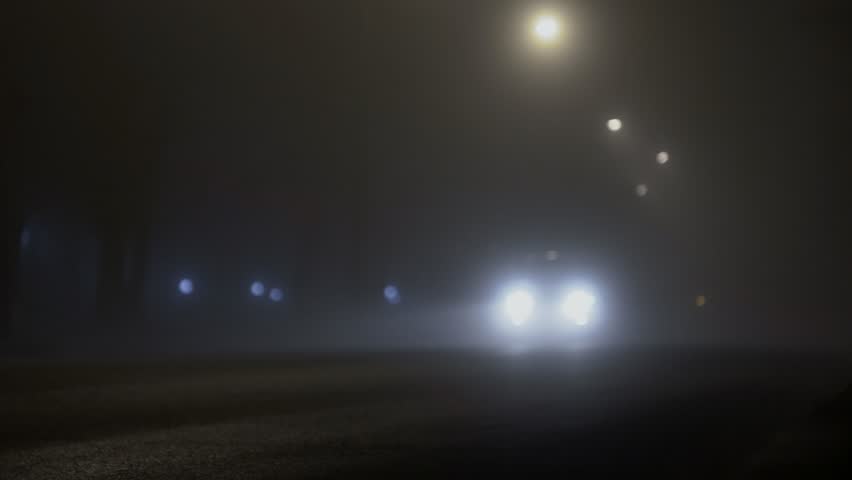 couple walking foggy night meadows park Stock Footage Video (100%  Royalty-free) 2167454 | Shutterstock