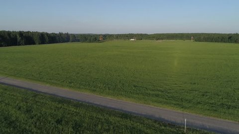 Aerial view of the green field and pine forest