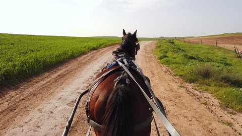 Dark brown horse pulling a Carriage on a dirt path on a sunny day at 60fps.