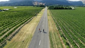 Cinematic aerial drone footage of couple riding bike through vineyard in Blenheim Marlborough wine region New Zealand 4k 
