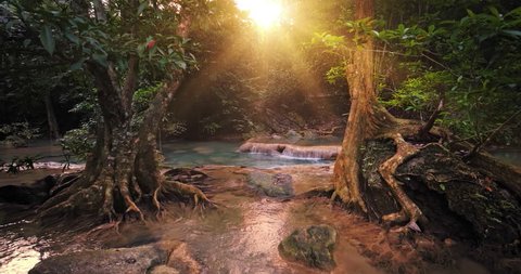 Sunlight in paradise forest. Beautiful jungle nature
